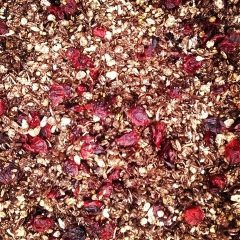 chocolate cranberry granola (Small)